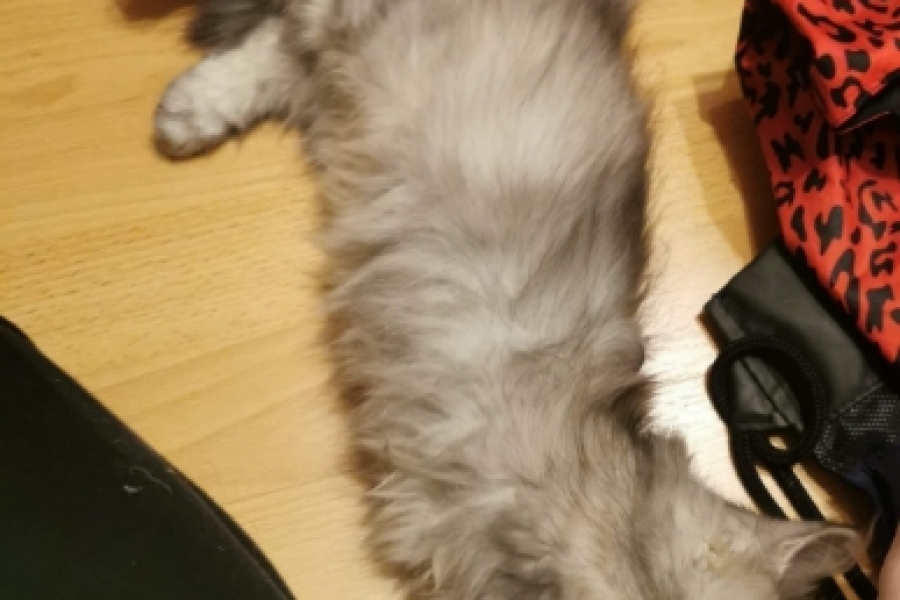 ETIENNE Pure Posh*PL