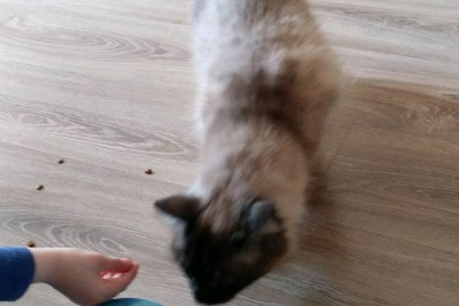 RIVER QUEEN Pure Posh*PL