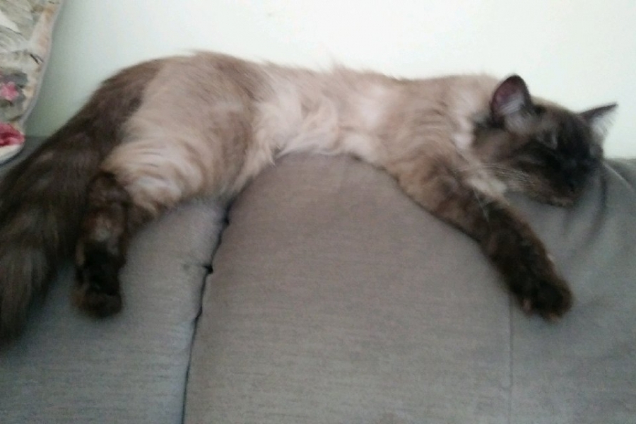 RIVER QUEEN Pure Posh*PL